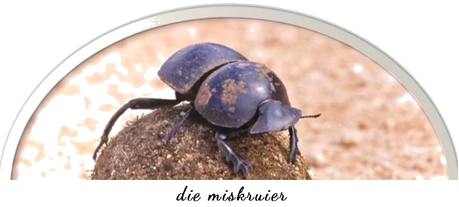 Miskruier